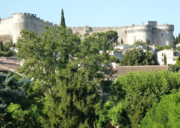 赛森住宿加早餐旅馆 4* 阿维尼翁新城